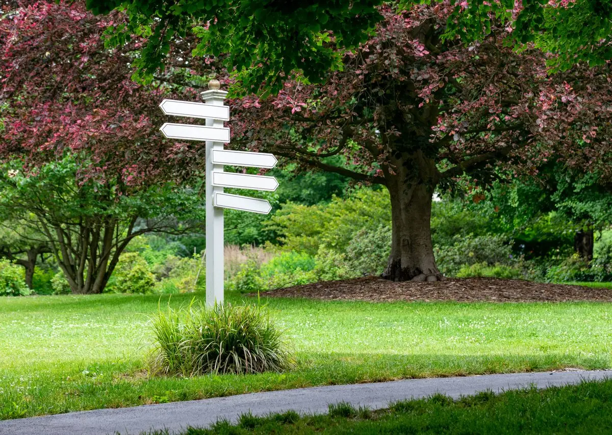 A signpost with several arrows pointing in different directions in a park
