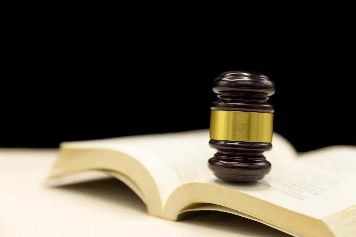 A judge's gavel resting on an open law book
