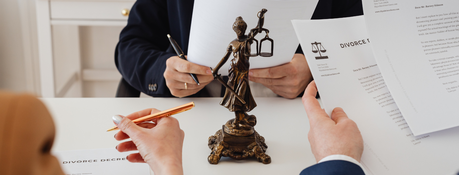 thebil-legal-home-family-law